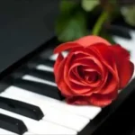 Una pausa para dejar que la música hable: Altamirano - Piano Lounge escuchado en Estreno Musical