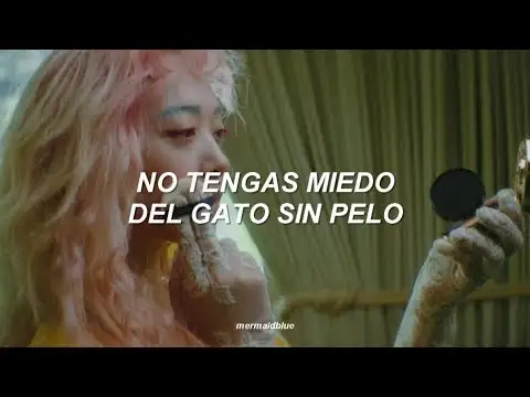 La estrella del K-pop que denunció el ciberacoso y los problemas de salud mental a los que la llevo la fama, Sulli